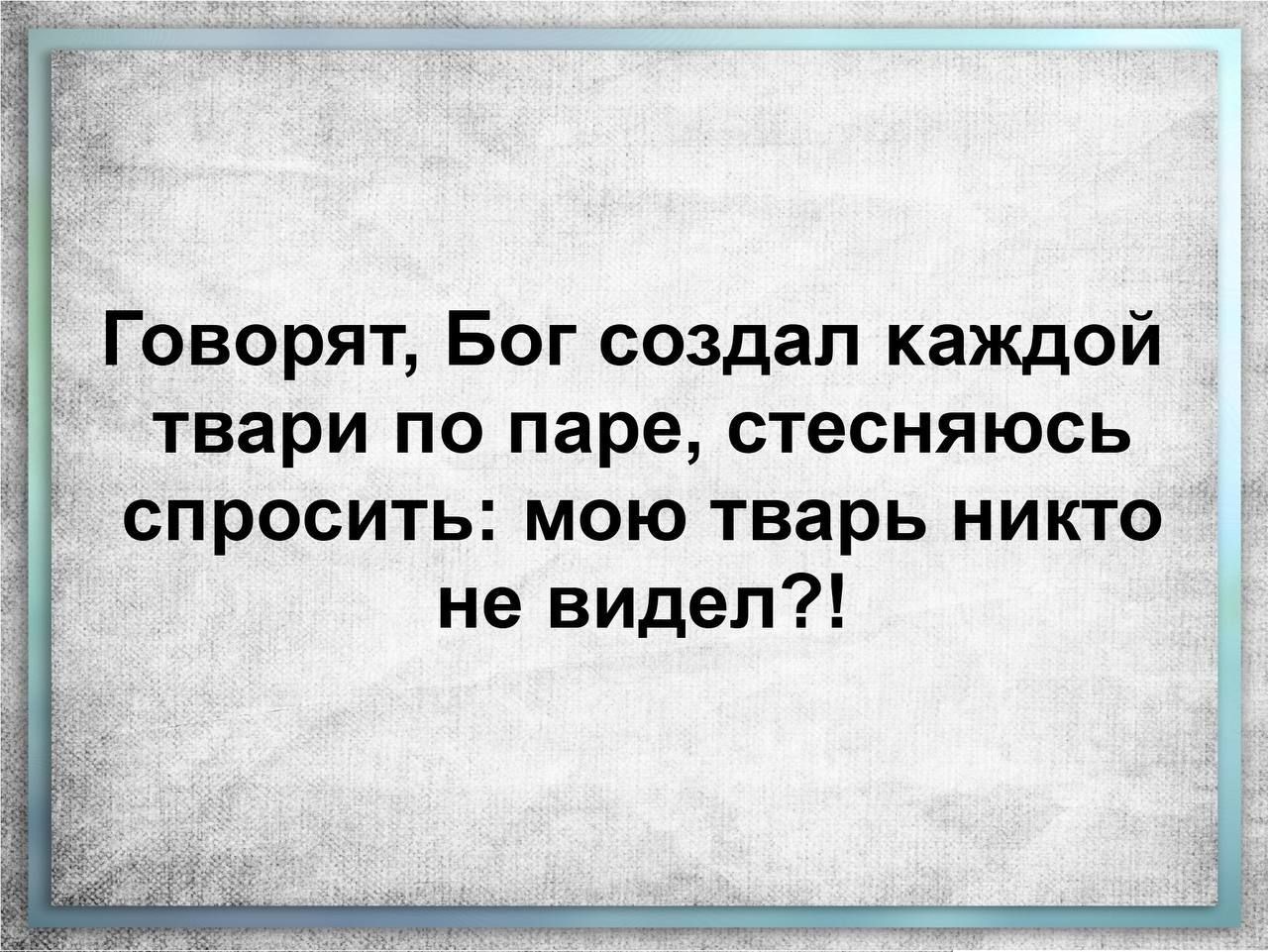 Говорят Бог создал каждой твари по паре стесняюсь спросить мою тварь никто не видел