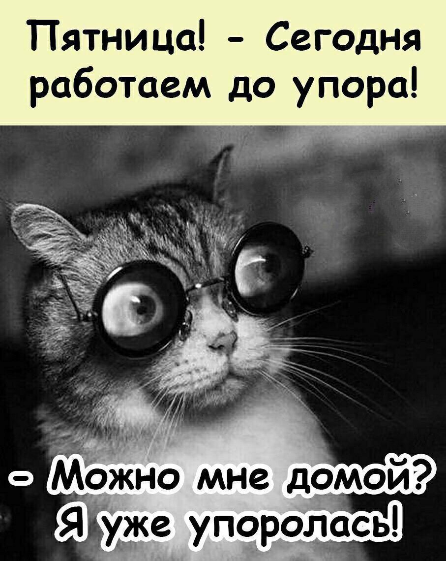 Пятница Сегодня работаем до упора 14 о Можно мне доой _ Я уже упоролась
