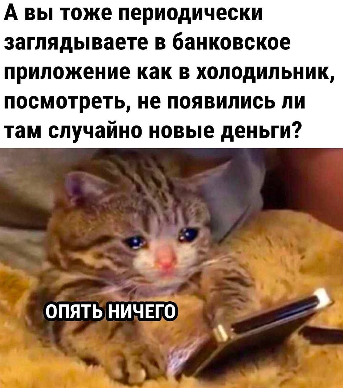 А ВЫ тоже периодически ЗЗГПЯДЫВЗЕТе В банковское приложение как В холодильник ПОСМОТРЕТЬ не ПОЯВИЛИСЬ ЛИ там случайно новые деньги ОПЯТЬ НИЧЕГО Р