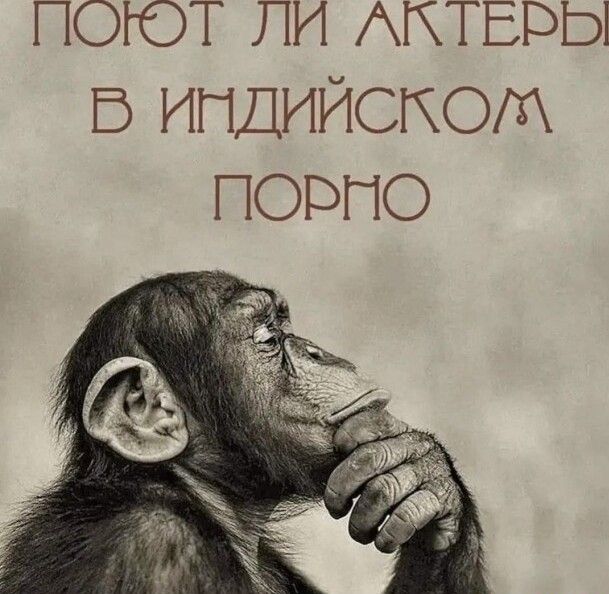 поют ли Активы В ипдийсгкощ порно