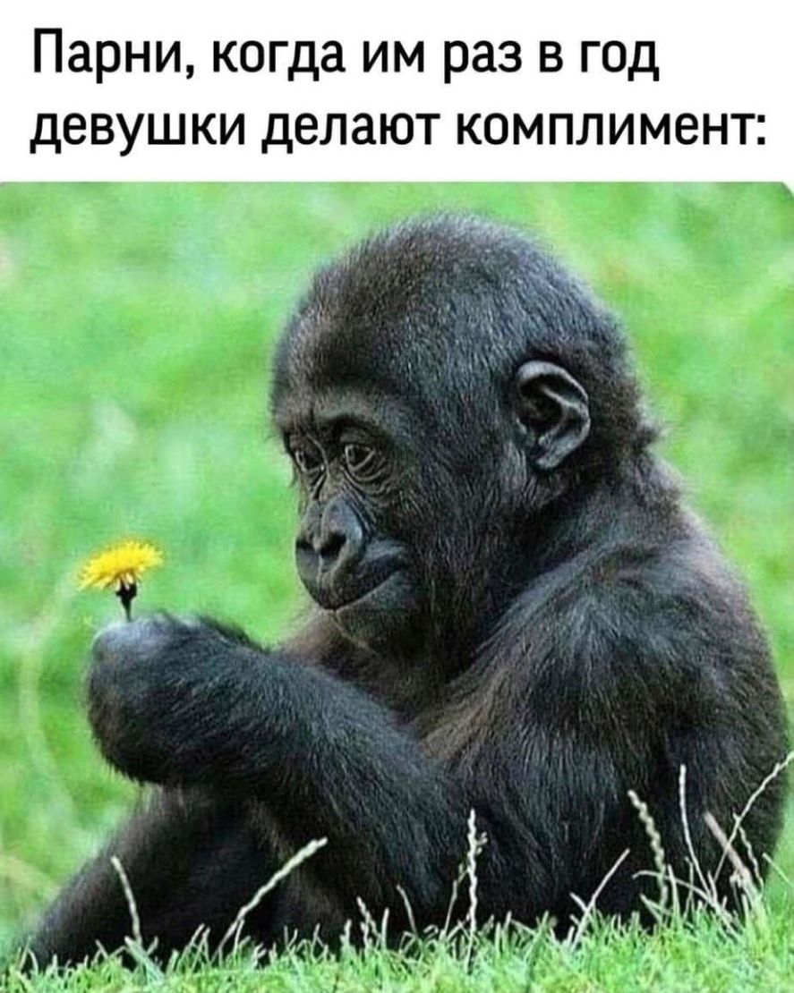 Парни когда им раз в год девушки делают комплимент