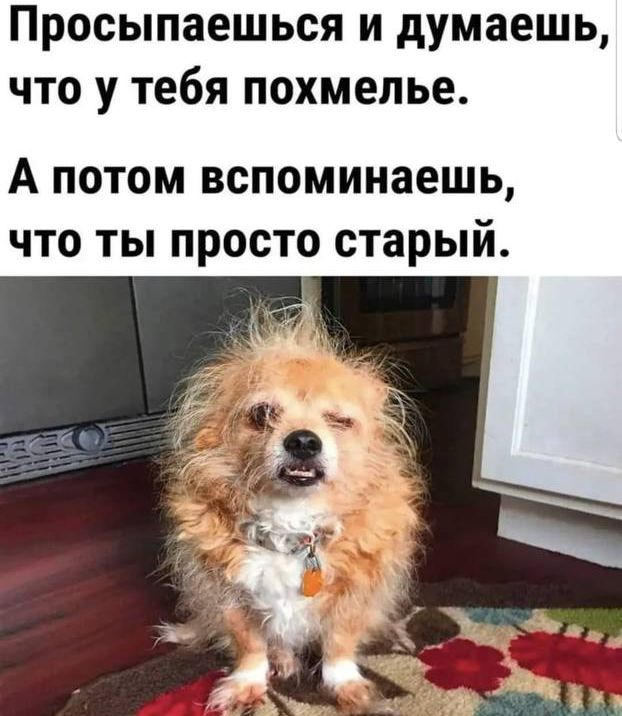 просыпаешься И думаешь ЧТО У тебя похмелье А потом вспоминаешь что ты просто старый