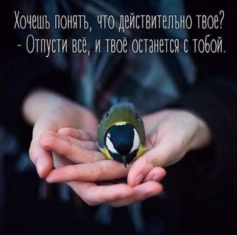 ХОЧЕШЬ ПОНЯТЬ ЧТО ДЕЙСТВИТЕЛЬНО ТВОЕ ОТПУЕТИ НЕЁ И ТВОЁ ОЕТЗНЕТЕТ ТОБОЙ