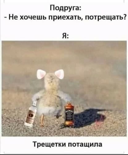 Подруга Не хочешь приехать потрещать Трещетки потащила