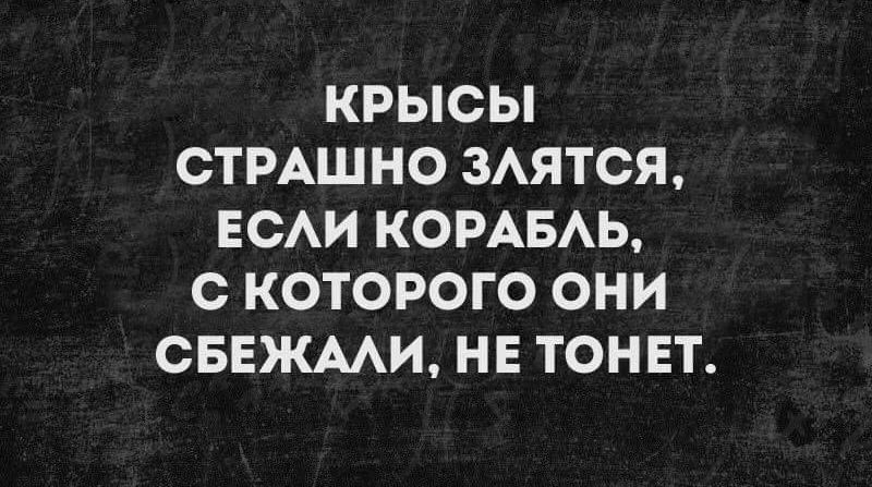 КРЫСЫ СТРАШНО ЗАЯТСЯ ЕСАИ КОРАБАЬ с КОТОРОГО ОНИ СБЕЖААИ НЕ ТОНЕТ