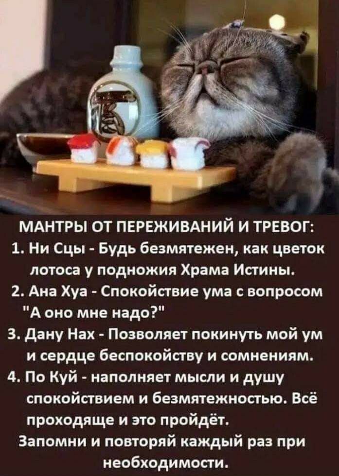 МАНТРЫ ОТ ПЕРЕЖИВАНИЙ И ТРЕВОГ 1 Ни Сцы Будь безмятежещ как цветок лотоса у подножия Храма Истины 2 Ана Хуа Спокойствие ума с вопросом А оно мне надо 3 дану Нах Позволяет покинуть мой ум и сердце беспокойпву и сомнениям 4 По Куй наполняет мысли и душу спокойствием и безмятежностыо Всё проходяще и это пройдёт Запомни и повторяй каждый раз при необходимости