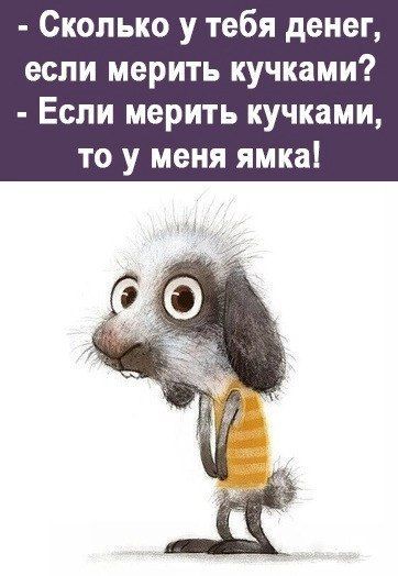 Сколько у тебя денег если мерить кучками Если мерить кучками то у меня ямка