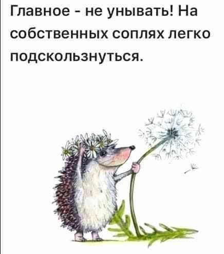 Главное не унывать На собственных соплях легко подскользнуться