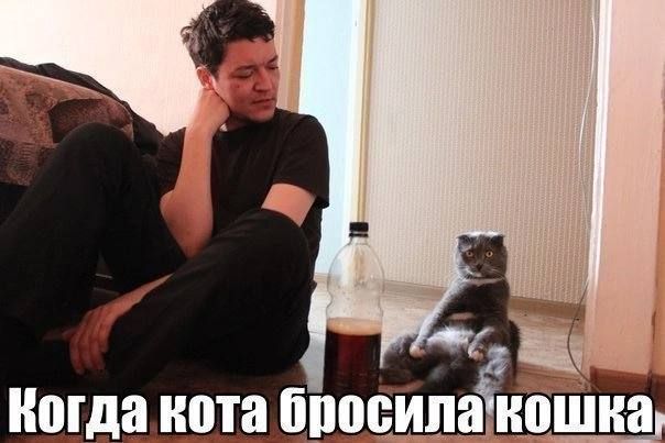 когда котадпосйпаи