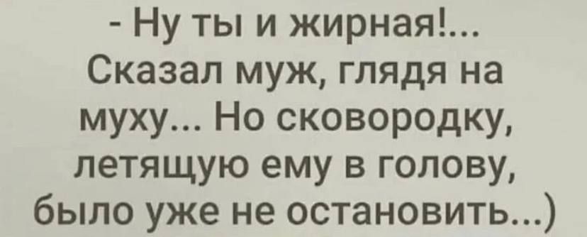 Ну ты и жирная Сказал муж глядя на муху Но сковородку летящую ему в голову было уже не остановить