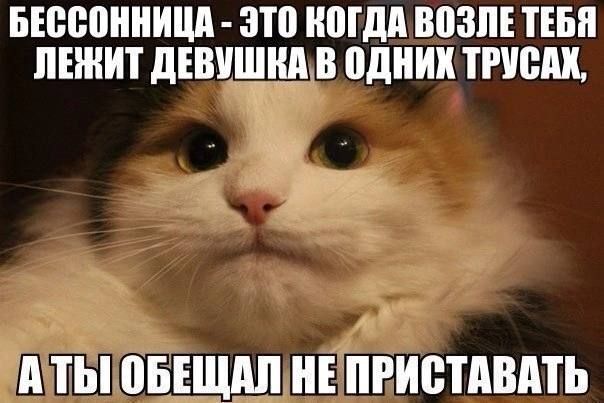 БЕВВПШИМ ЗШ ММДЦ 80311 ТЕБЯ ЛЕЖИТ ЛЕВШШШВ НДПИ ТНСП А ТЫ ВБЁЕЩАП ПРИВТАВАТЬ