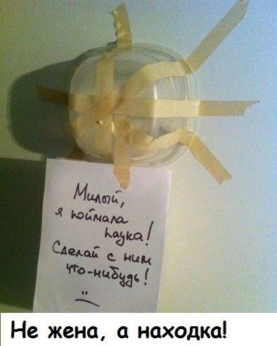 Не жена а находка