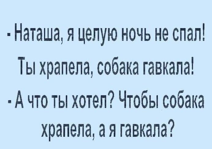 Наташа я целую ночь не спал Ты храпела собака гавкала А что ты хотел Чтобы собака храпела ая гавкапа