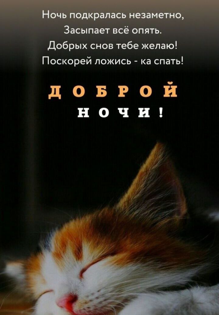 Добрых снов тебе желаю Поскорей ложись ка спать довгой НОЧИ