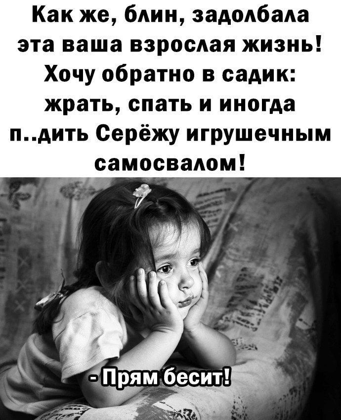 Как же блин задолбада эта ваша взрослая жизнь Хочу обратно в садик жрать спать и иногда пАить Серёжу игрушечным самосваАом 7