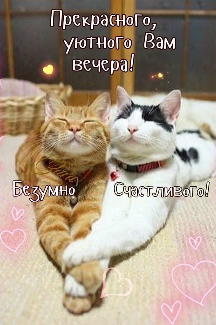 ПРСКРЗЁ ЮГО уютнопо Вам