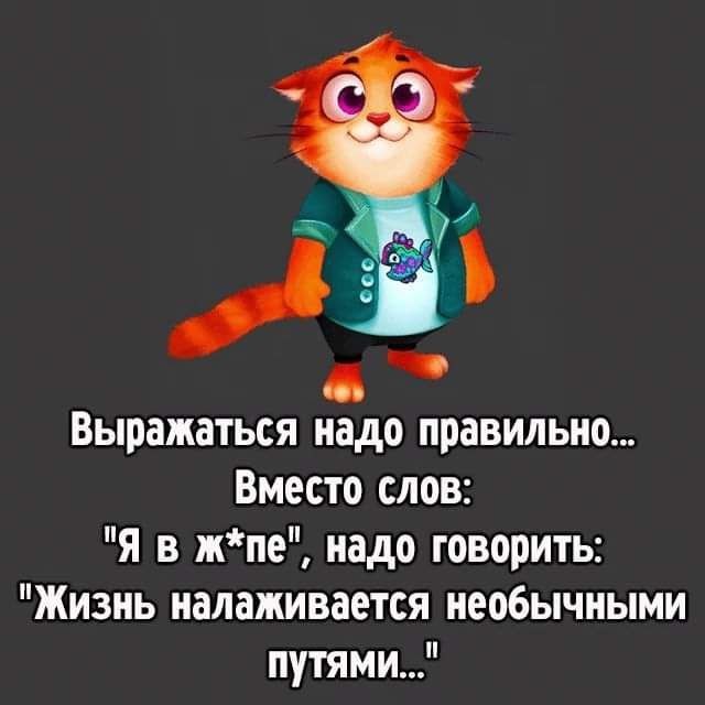 Выражаться надо правильно Вместо слов я в жпе надо говорить Жизнь налаживается необычными путями