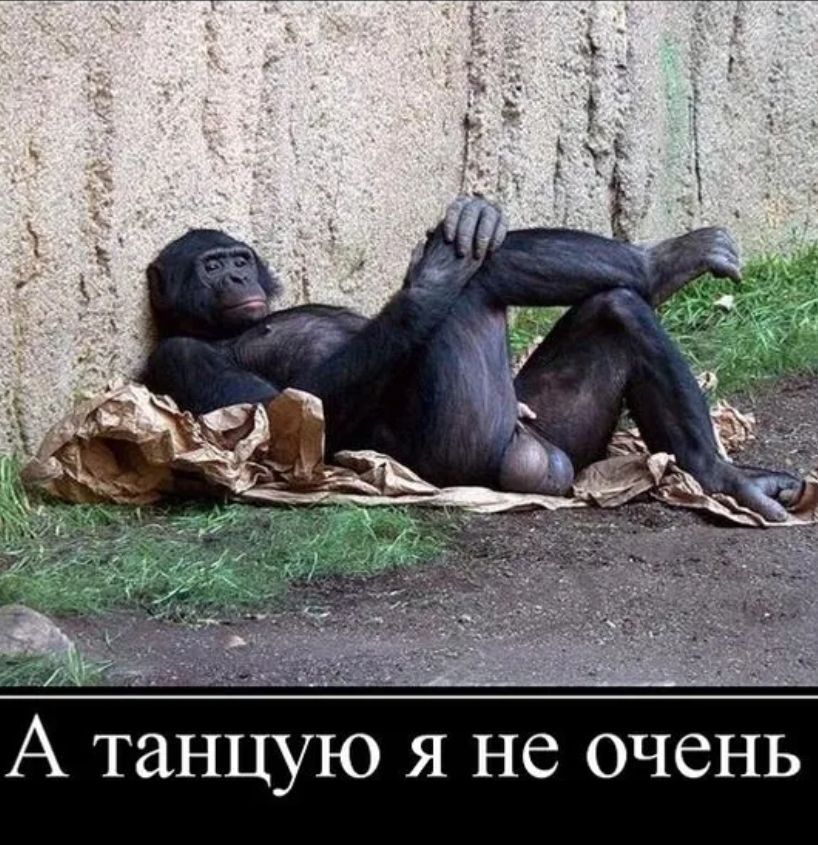 А танцую Я не очень