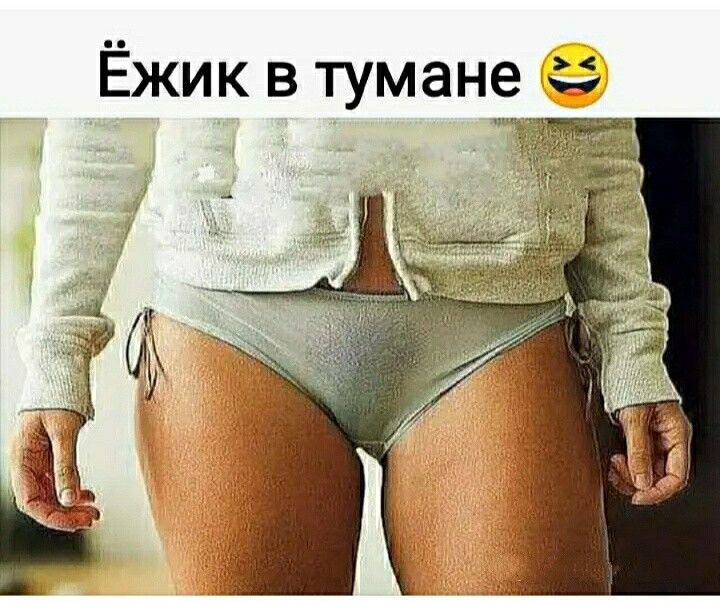 Ёжик в тумане