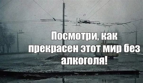 вн асен этот мип без алкоголя