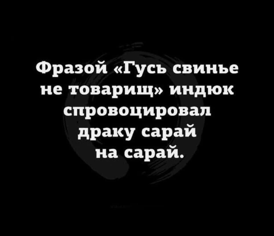 Фразой Гусь свинье не товарищ индюк спровоцировал драку сарай на сарай