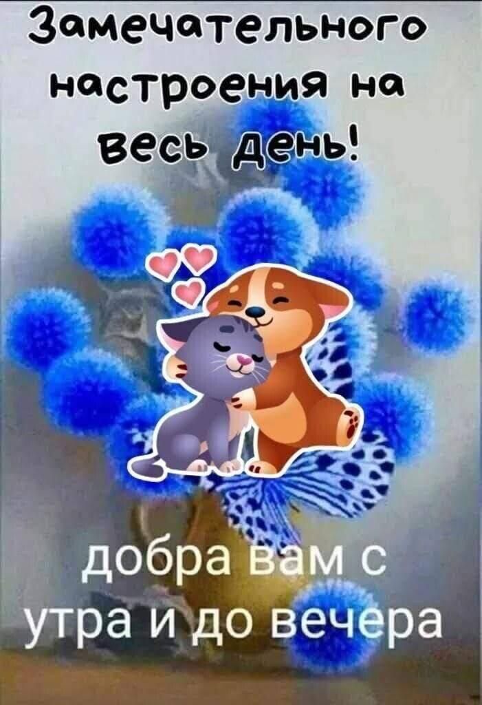 замечательного настроения НО вееёр дседнь