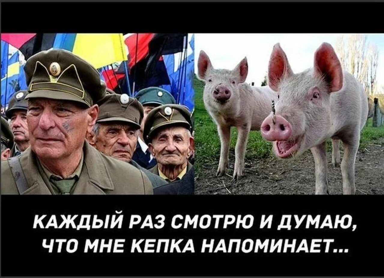 КАЖДЫЙ РАЗ СМОТРЮ И дУМАЮ ЧТО МНЕ КЕПКА НАПОМИНАЕТ