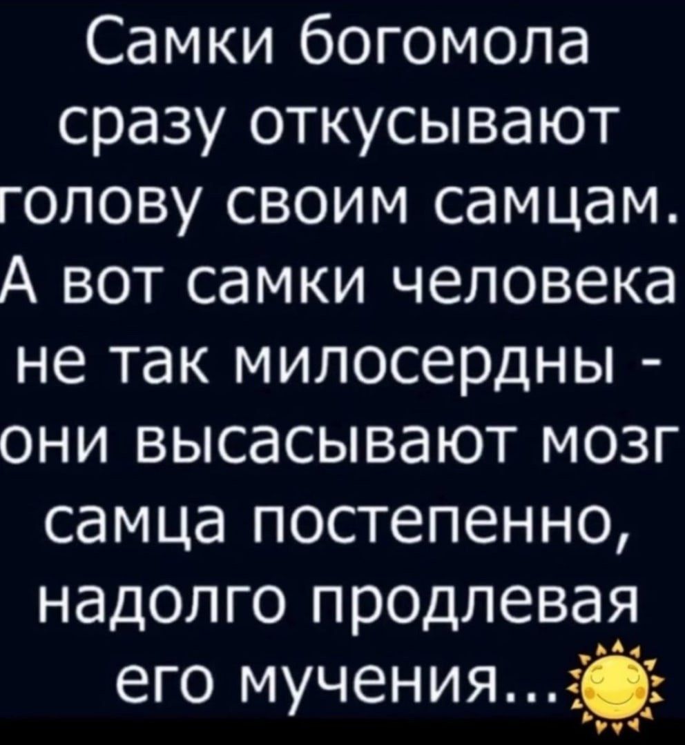 Самки богомола сразу откусывают голову своим самцам А вот самки человека не так мипосердны они высасывают мозг самца постепенно надолго продлевая его мучения 51 гчч