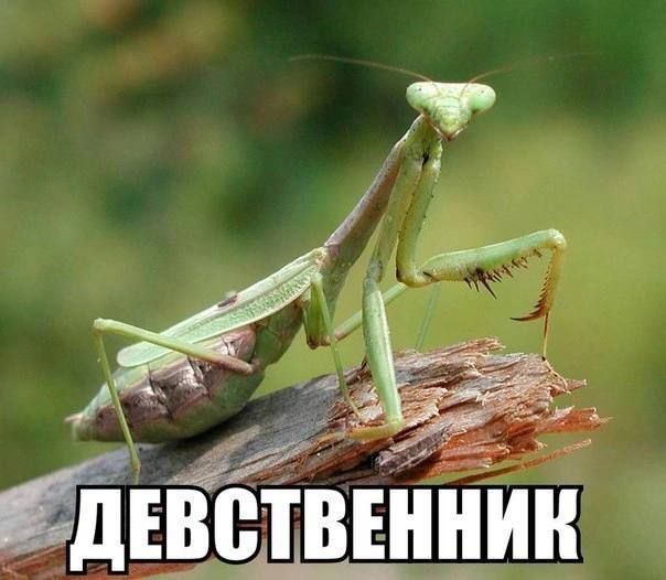 И __ ЁЕВЩ венцин