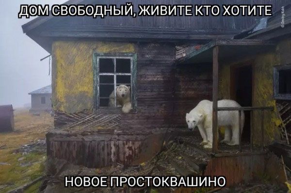 ФМ СВОБОДНЫИЖИЁИТЕ КТО ХОТИТЕ д НОВОЕ пбОстоквАшино