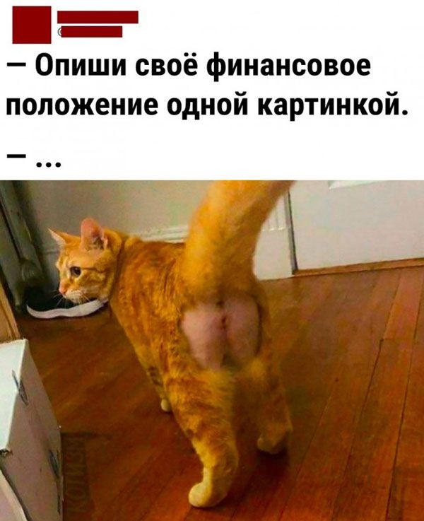 _ _ Опиши своё финансовое положение одной картинкой