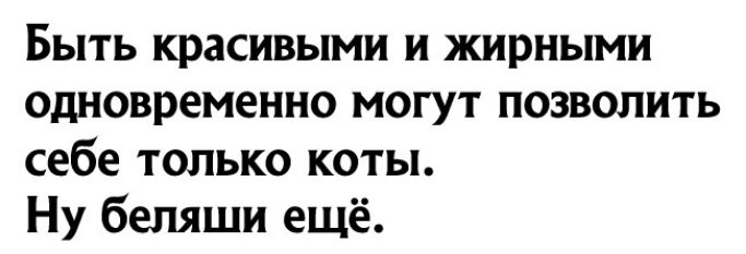 Быть красивыми и жирными одновременно могут позволить себе только коты Ну беляши ещё