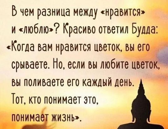 Ьчем разница между нравится и тоблю Красиво ответил Будда Когда вам нравится цветок вы его с срываете Но если вы любите пьетоЁ вы поливаете его каждый день Тот кто понимает это понима жизнь