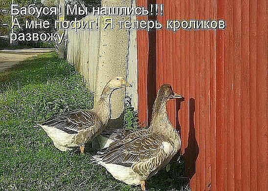 ОВ