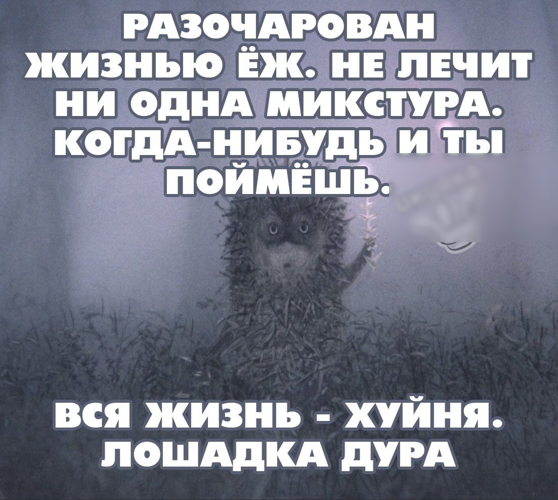 РАЗОЧАРОВАН ЖИЗНЬЮ Ёж ЕЛЕЧИТ ни ОДНА МИКС УРА КОГДА Н_ИБУДЪ ТБ ПОЙМЁШЬ 7 вся жизнь хуйня пошддкд дугА