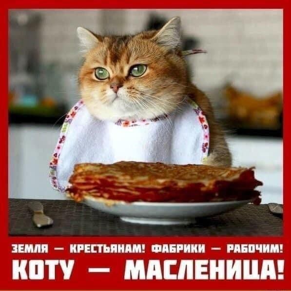 ПТЦЦЧ