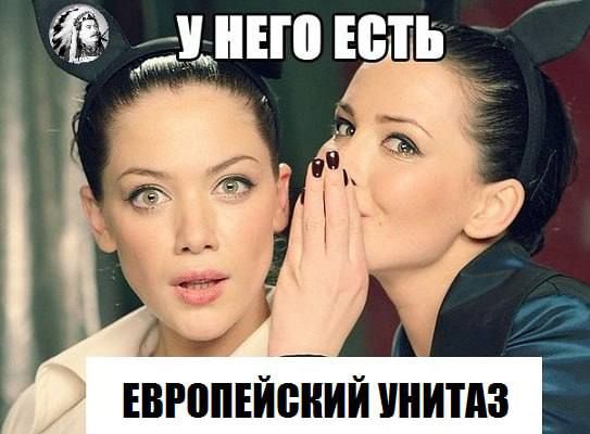 дино есть