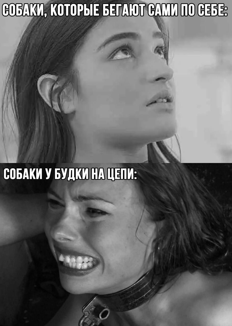 ЕПБАКИ КПТПРЫЕ БЕГПЮТ Р