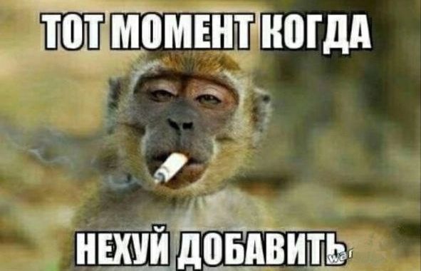 ЁЁЬШоМЕПтАнпгдд ЦМВИ