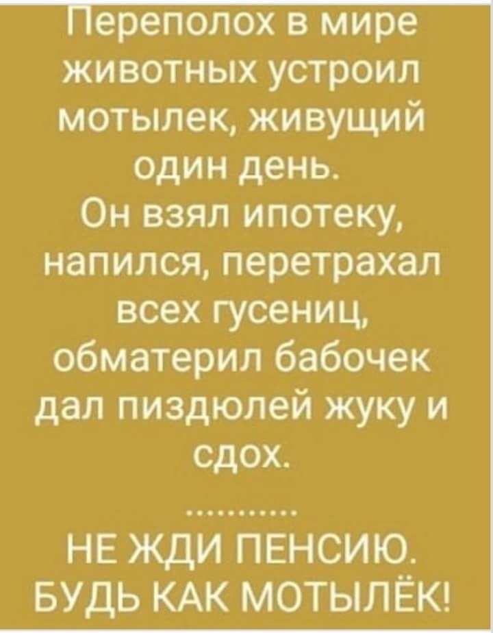 животных устроил мотылек живущий один день Он взял ипотеку напился перетрахал всех гусениц обматерил бабочек дал пиздюлей жуку и сдох НЕ ЖДИ ПЕНСИЮ БУДЬ КАК МОТЫПЁК