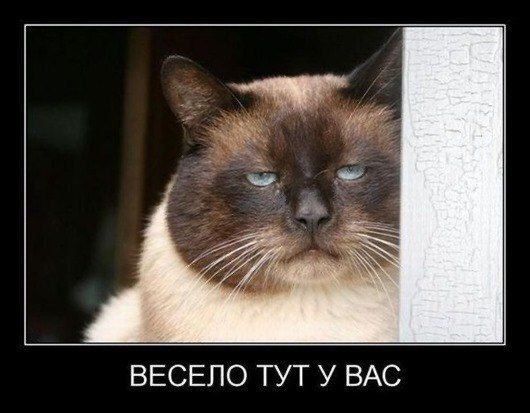 а ВЕСЕПО ТУТ У ВАС