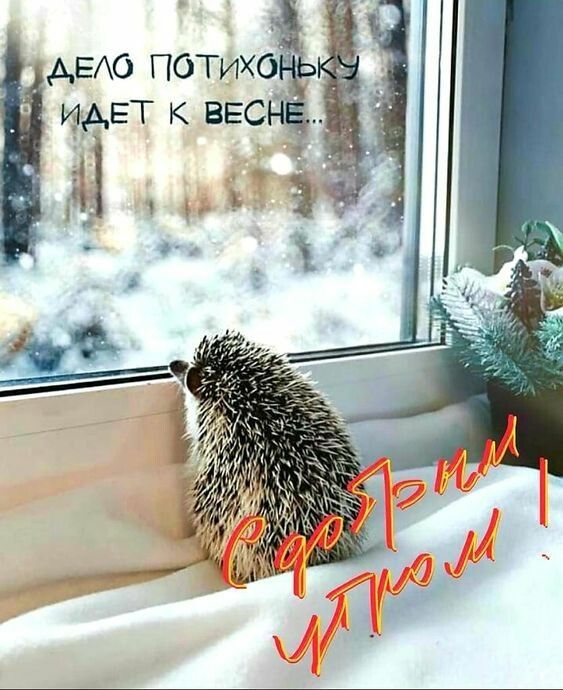 АЕАО ПОТихо идет к ВЕСН з д и