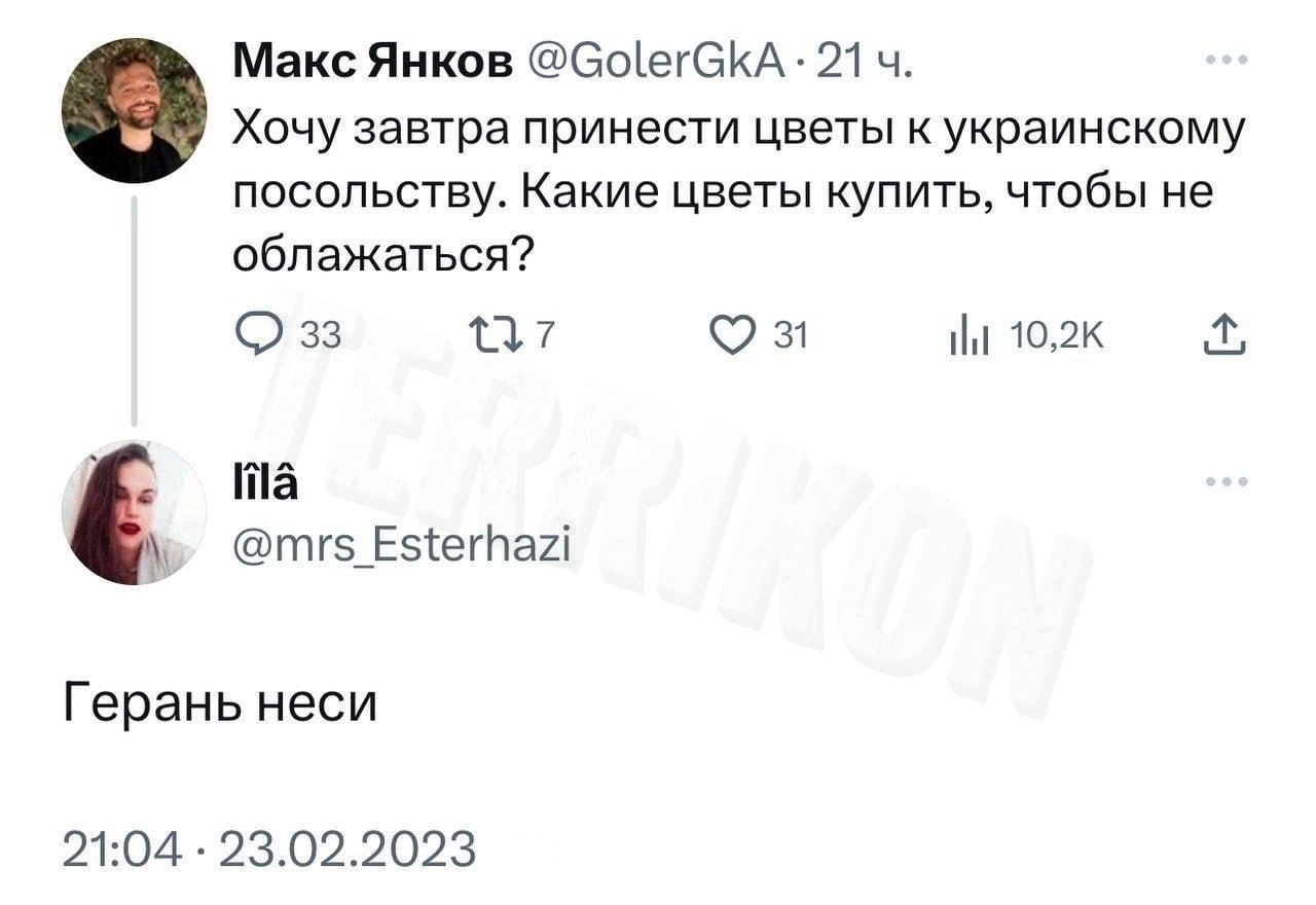 Макс Янков 6оіе6КА 21 ч посольству Какие цветы купить чтобы не облажаться О 3 ПЛ О и кик тд гп15_Еета1 Герань неси 2104 23022023