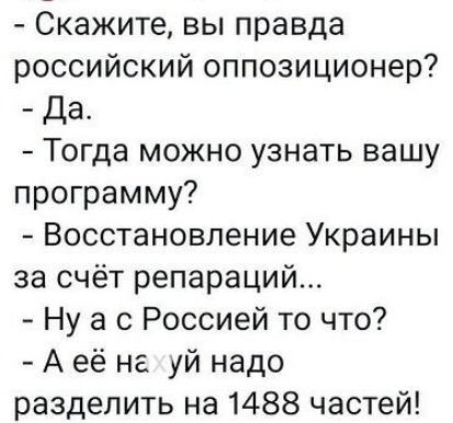 Скажите вы правда российский оппозиционер да Тогда можно узнать вашу программу Восстановление Украины за счёт репараций Ну а с Россией то что А её на уй надо разделить на 1488 частей
