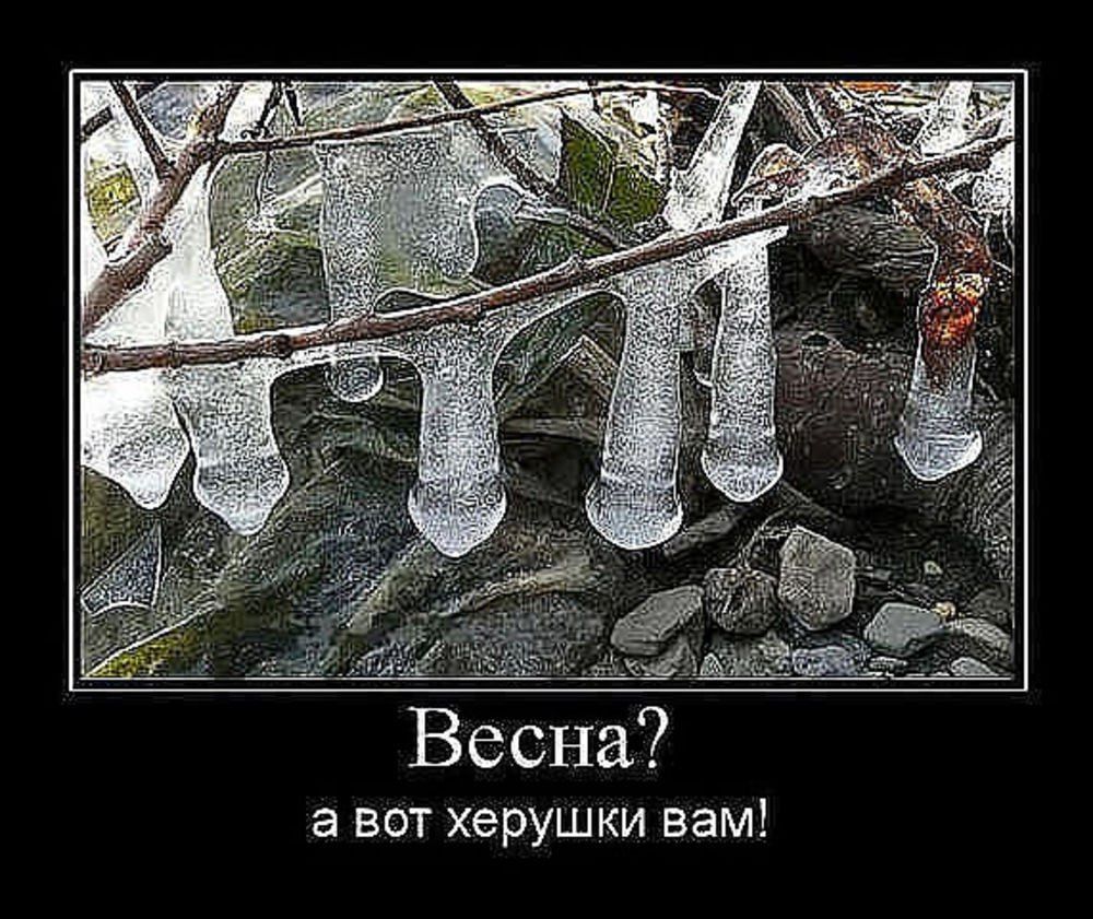 х_щ _ Э БОТ херушки ВБМ