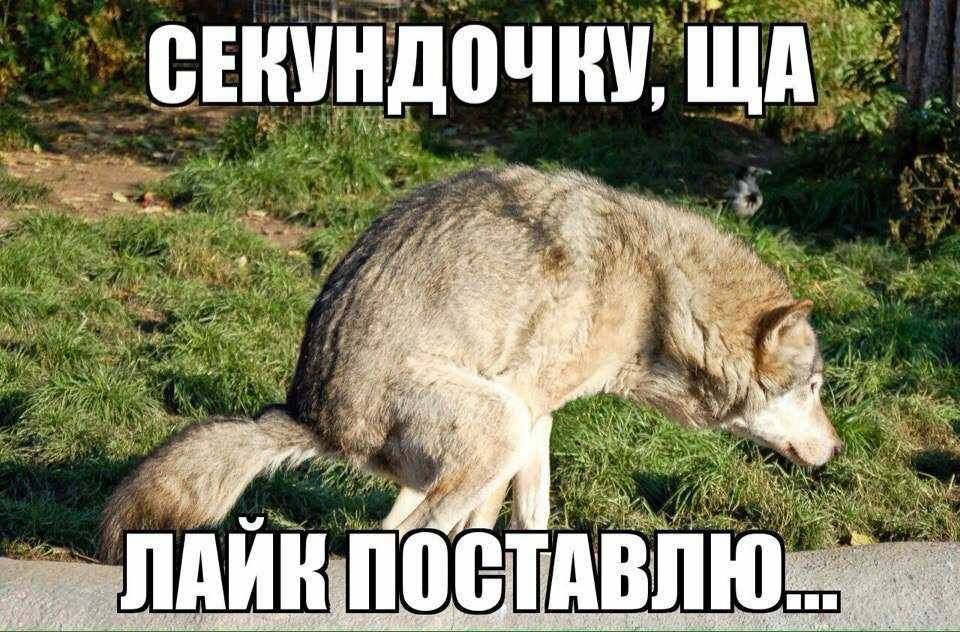 ь _ ПАИНП001ТШВПЮ_