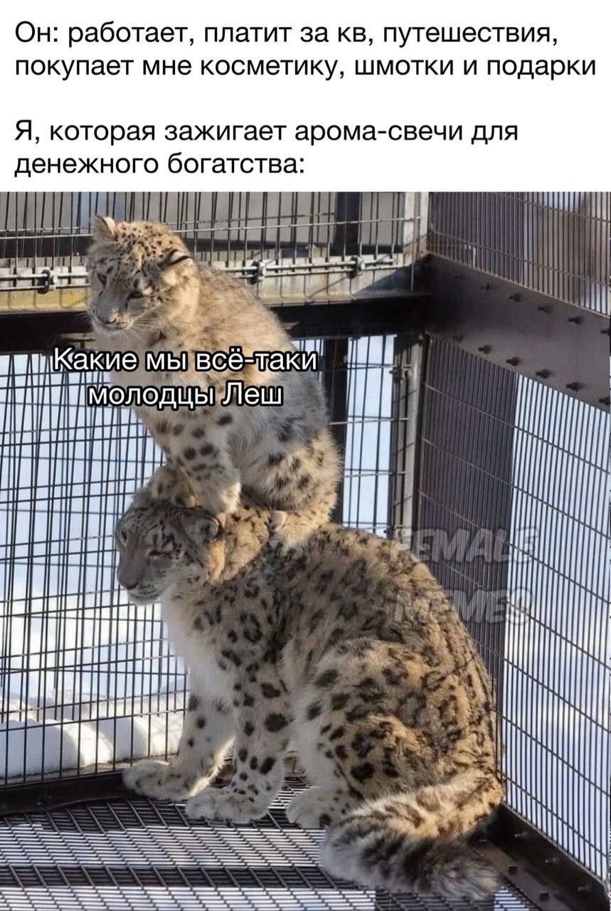 Он работает платит за кв путешествия покупает мне косметику шмотки и подарки Я которая зажигает арома свечи для денежного богатства гііі
