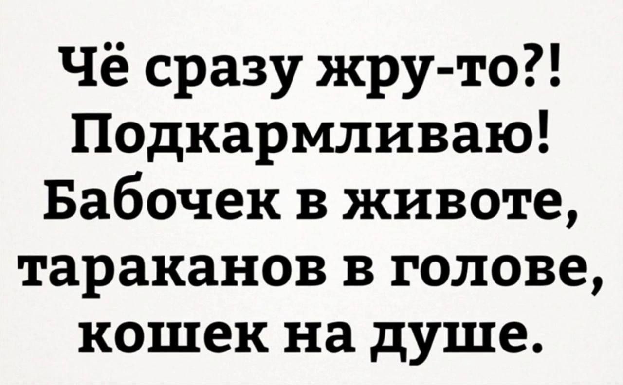Чё сразу жру то Подкармливаю Бабочек в животе тараканов в голове кошек на душе