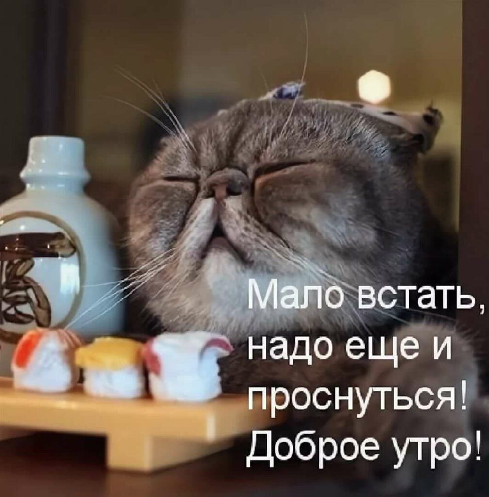 __ _ тать надо ещёи проснуться Доброе утро