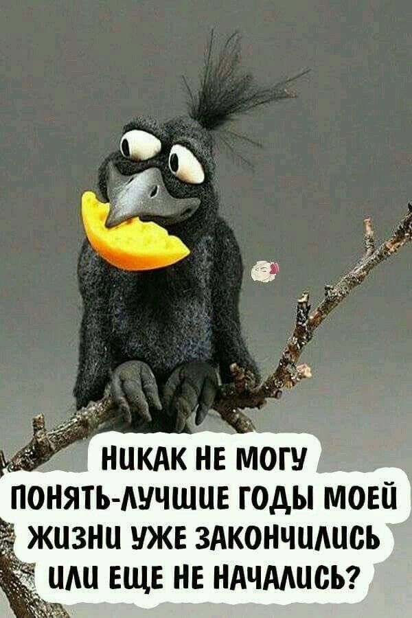 НИКАК НЕ МОГУ 1 ПОНЯТЬ АУЧШЦЕ ГОДЫ МОЕЙ ЖЦЗНЦ УЖЕ ЗАКОНЧЩЩСЬ ШШ ЕЩЕ НЕ НАЧААЦВЪ